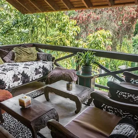 Exotic Tropical W/ Large Pool In Sotogrande! San Roque (Andalucia)